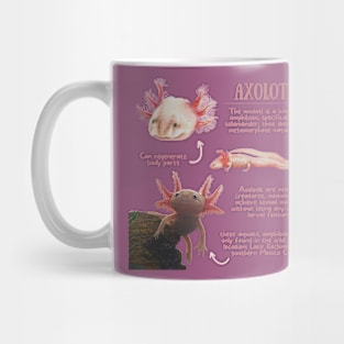 Animal Facts - Axolotl Mug